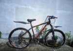Phoenix Bicycle for sale