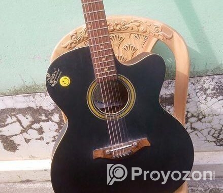গিটার বিক্রি