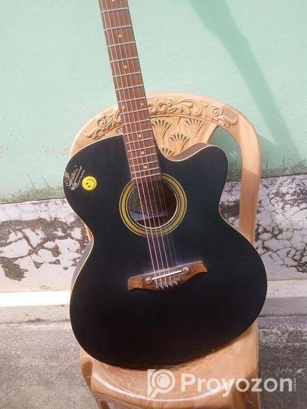 গিটার বিক্রি