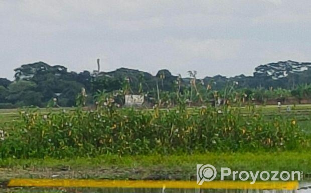 জরুরী জমি বিক্রয় করা হবে