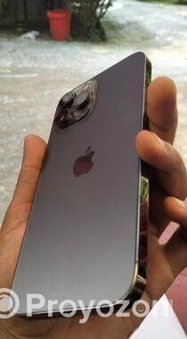Apple iPhone 13 Pro Max (Used)