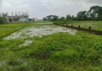 Land Sale