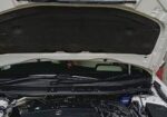 Toyota Premio . 2019