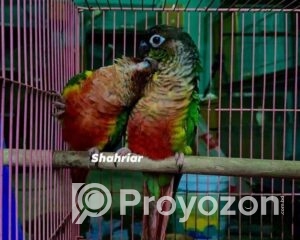 fitted-30_2025-09-07_10-16-58