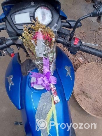 TVS Apache RTR 160 . 2024