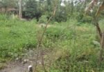 সামনাসামনি সব হবে. জমি বিক্রয়