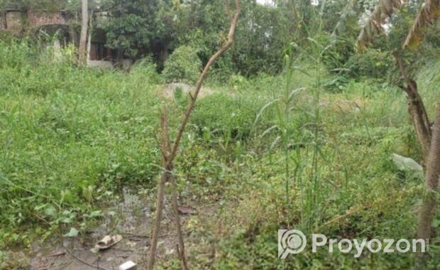 সামনাসামনি সব হবে. জমি বিক্রয়