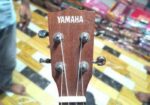 Ukulele বিক্রি করা হবে