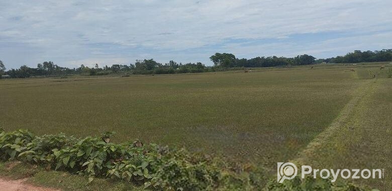 (৪০৫ শতক) জমি বিক্রয়