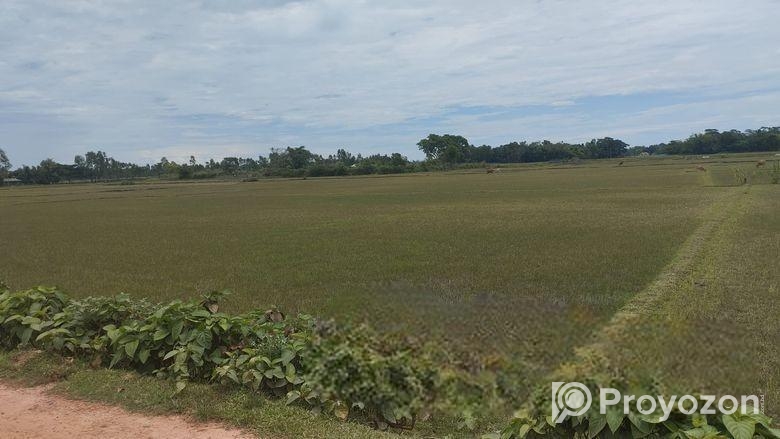 (৪০৫ শতক) জমি বিক্রয়