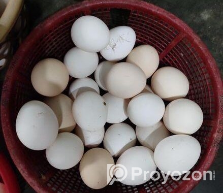 ফাউমি মুরগির ডিম