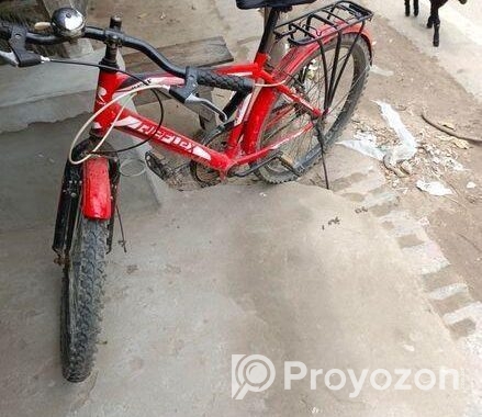 ফ্রেস বাইসাইকেল সেল