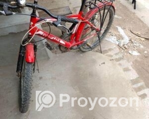 fitted-32_2025-09-12_22-23-21