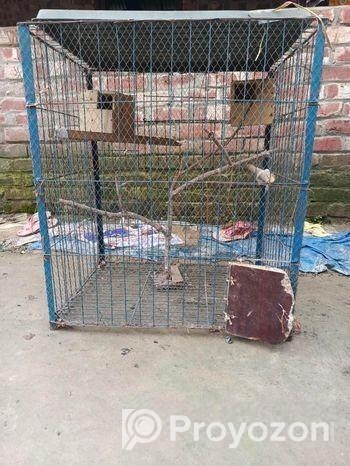 পাখির খাঁচা সেল