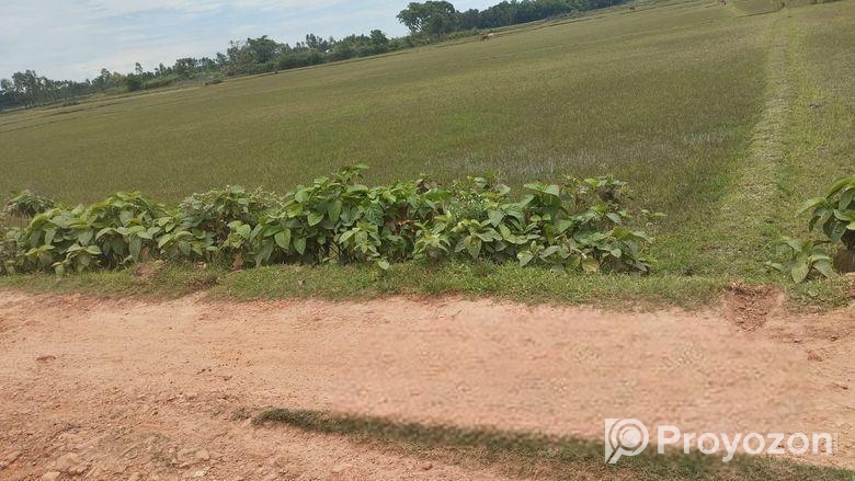 (৪০৫ শতক) জমি বিক্রয়