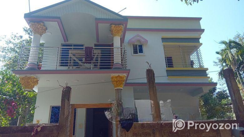 দক্ষ পেইন্টার দ্বারা রং করে তাকি