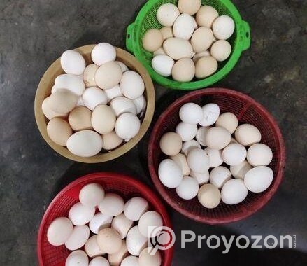 ফাউমি মুরগির ডিম