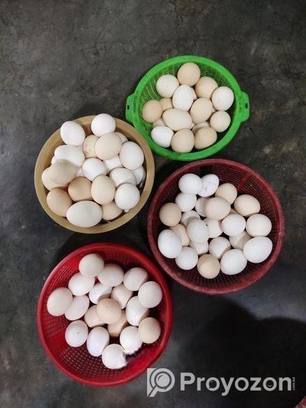 ফাউমি মুরগির ডিম