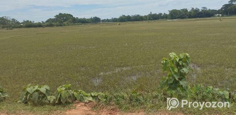 (৪০৫ শতক) জমি বিক্রয়
