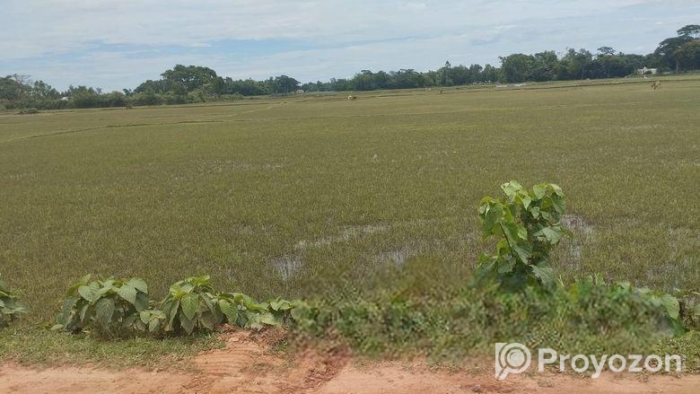 (৪০৫ শতক) জমি বিক্রয়