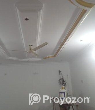 দক্ষ পেইন্টার দ্বারা রং করে তাকি
