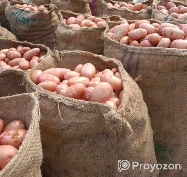 ফ্রেশ লাল আলু বিক্রিয় করা হয়