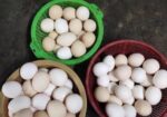 ফাউমি মুরগির ডিম
