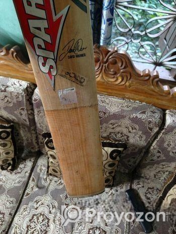 ক্রিকেট ব্যাট