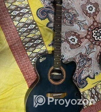 Signature Guitar
