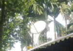 Akash Dth
