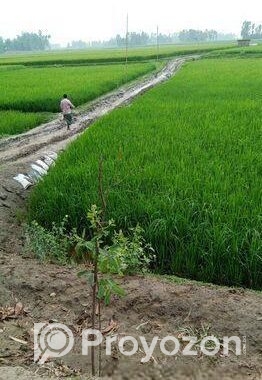 Land For Sell