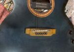 Signature Guitar