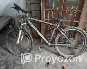 fitted-36_2025-09-21_22-32-49
