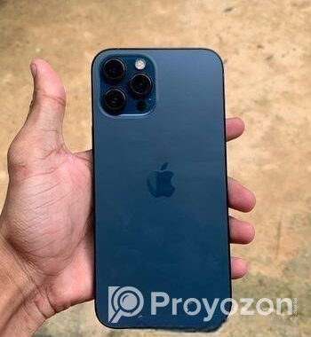 Apple iPhone 12 Pro Max (Used)