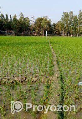Land For Sell