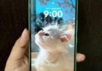 Samsung Galaxy A54 5G (Used)