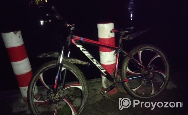 Bicycle for sale