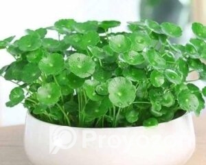 fitted-38_2025-09-02_10-42-57