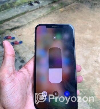 Apple iPhone 12 Pro Max (Used)
