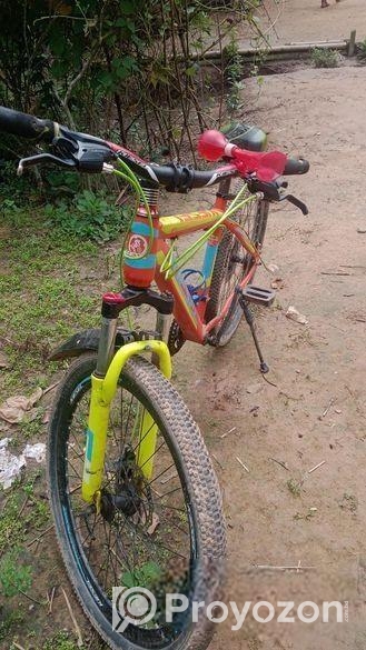 Bicycle for sale
