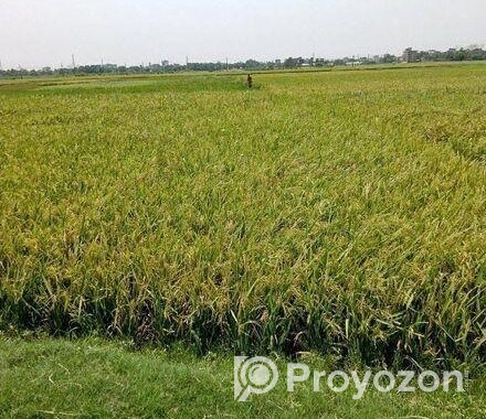 ২২ শতক ইপিজেডের দক্ষিণে জমি বিক্রি হবে