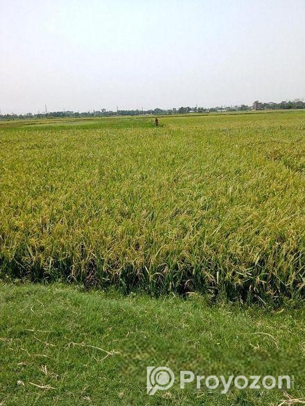 ২২ শতক ইপিজেডের দক্ষিণে জমি বিক্রি হবে