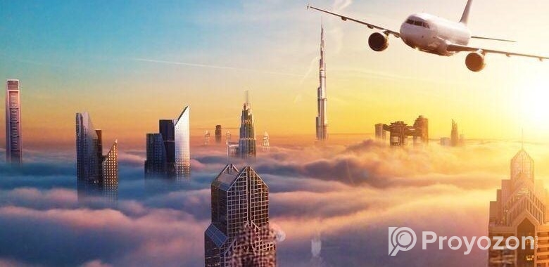 Visa processing