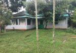 Agro Firm & Land Sale