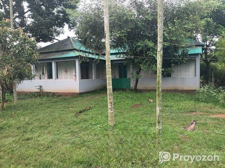 Agro Firm & Land Sale