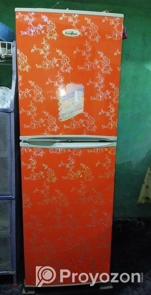 Singer Fridge Fresh condition