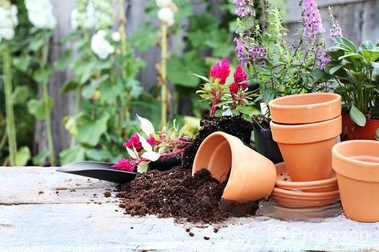 পট সয়েল ৫ কেজি প্যাক