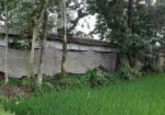 খামারের টিনের ঘর
