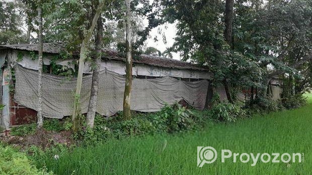 খামারের টিনের ঘর