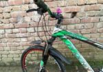 Phoenix Bicycle for sale
